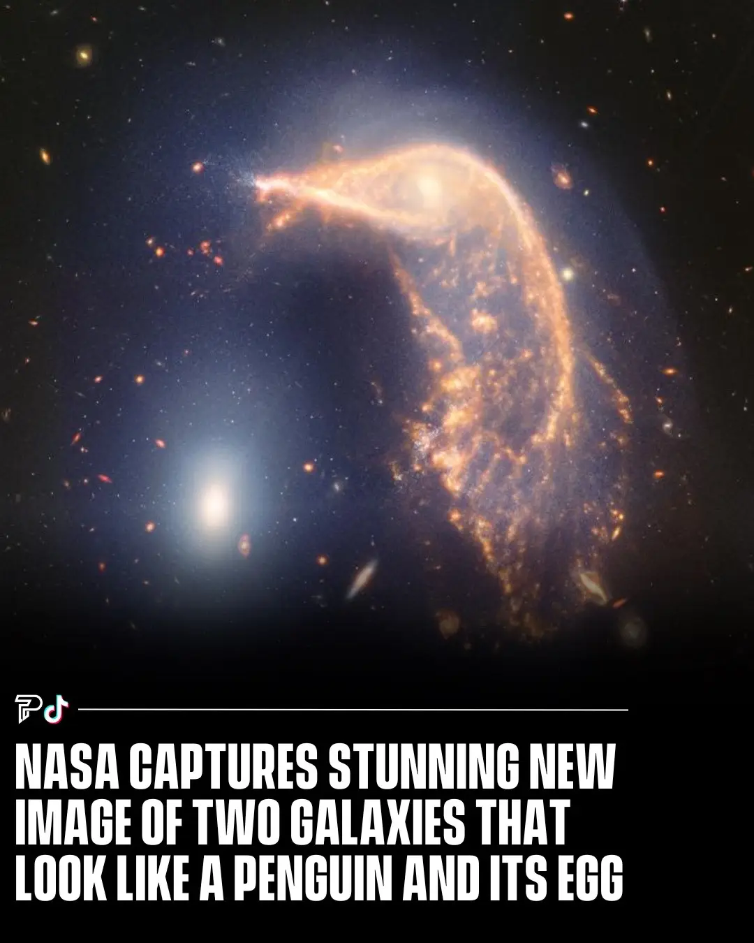 NASA’s James Webb Space Telescope has unveiled a breathtaking image of two galaxies, affectionately known as the Penguin and the Egg, engaged in a cosmic dance to celebrate the observatory’s second anniversary. Astronomers estimate that the Penguin and the Egg galaxies began interacting between 25 million and 75 million years ago. Since that time, they have been entwined in a graceful orbit around each other. In the distant future, they are expected to merge into a single galaxy. #RoadTo15Million #Pubity  (📸: @nasa)