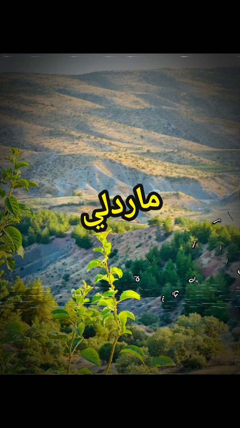 #الفنان_محمود_العامري #صعدو_الفيديو #لايك_متابعه_اكسبلور #اعاده_نشر #العامري #تعليقاتكم #fypシ #قديمك_نديمك_ذكريات🌹🌹 #تصميم_فيديوهات🎶🎤 #satisfyingvideo #_فاطمه_قيدار #الشعب_الصيني_ماله_حل😂😂 #قديم #CapCut #العامري1999 
