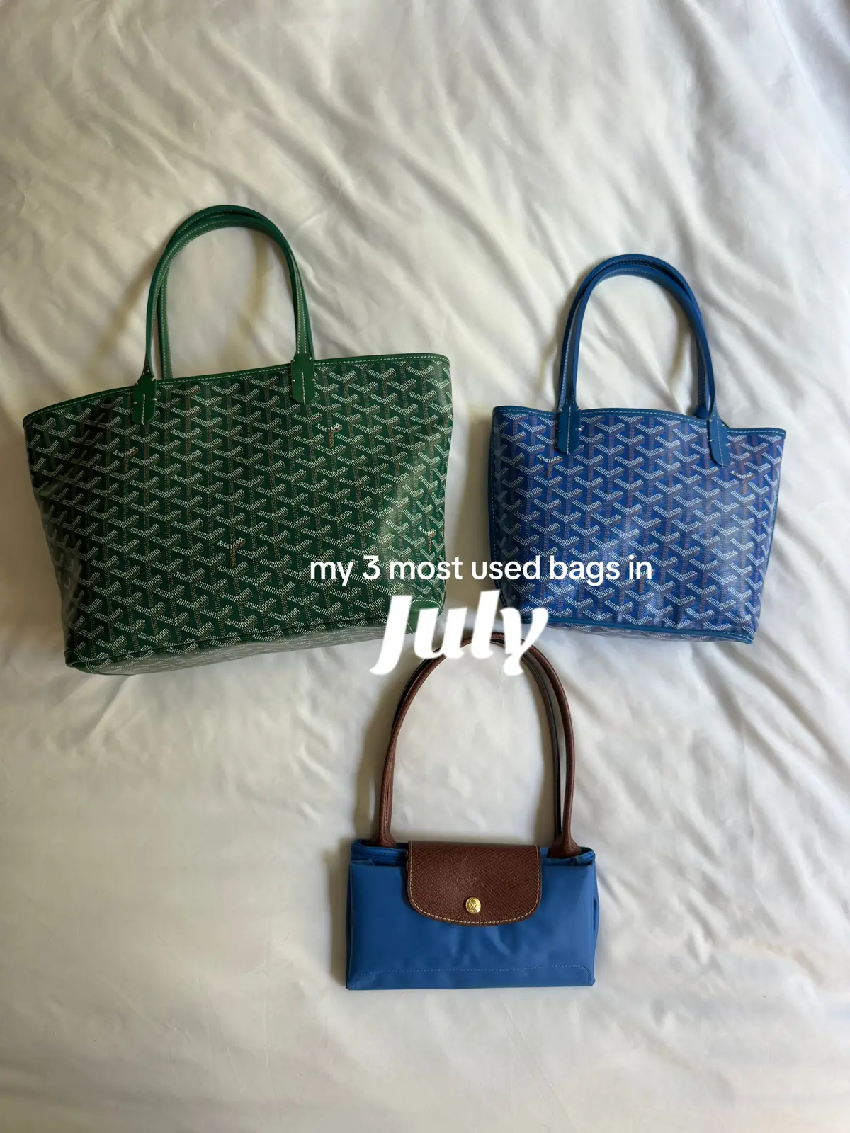 #goyard #goyardbag  #longchamp #longchamplepliage #everydaybag #bagcollection  