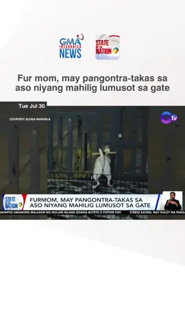 Madalas bang nakakalusot sa gate ang inyong alagang aso? Ang isang fur mom, may witty na solusyon para 'di matakasan ng kanyang fur baby! | State of the Nation #PusuanNaYan