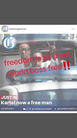 #vybzkartel #free #freedom is ah must‼️ #fyp #road fi di #worldboss 