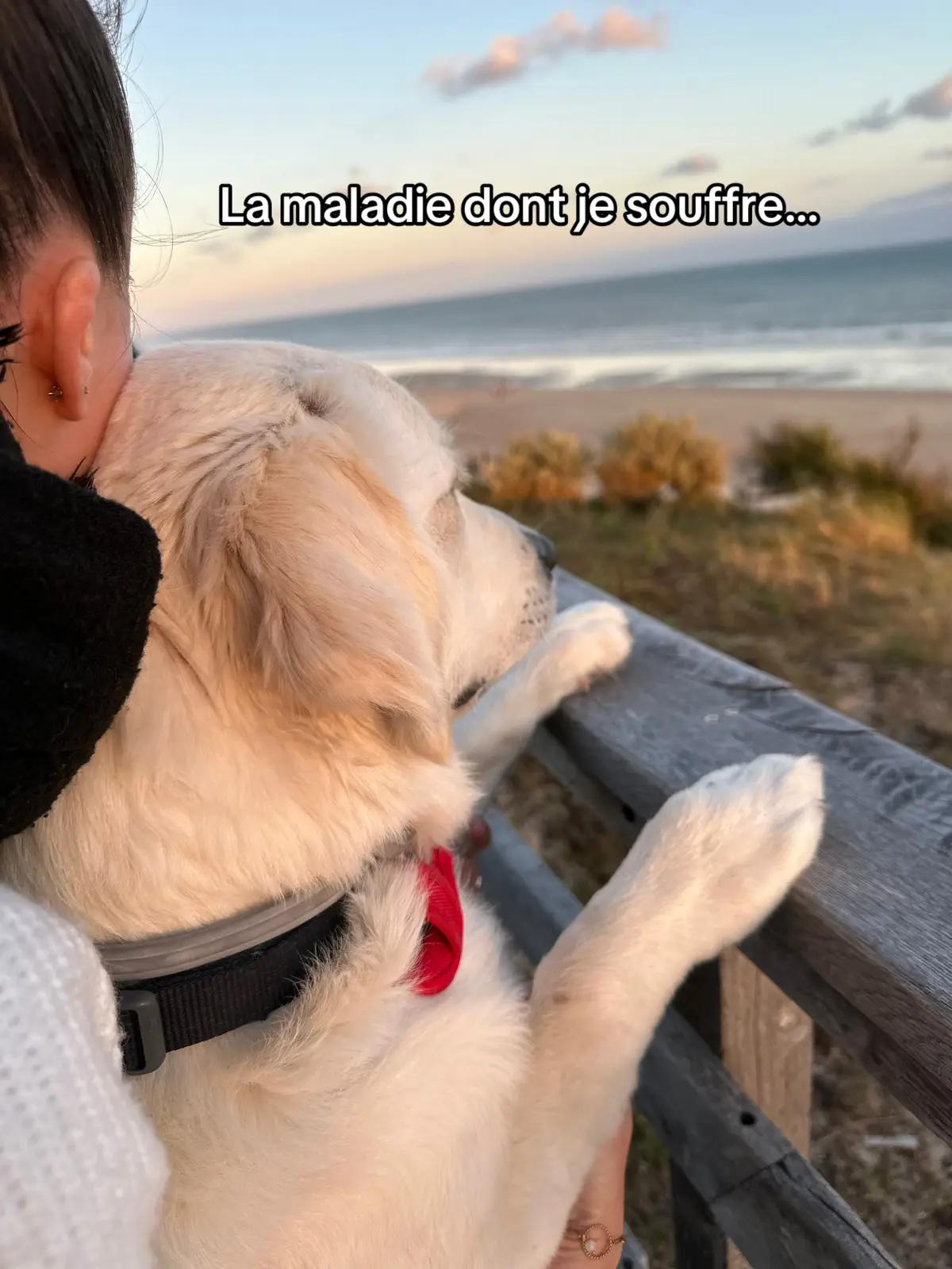 #fyp #fypシ #foryou #foryoupage #foryourpage #pourtoi #golden #goldenretriever #goldenretrieverlife #dog #dogsofttiktok #doglover #puppy #puppylove #puppytiktok #bestfriend #tiktok #viral #video #trend 