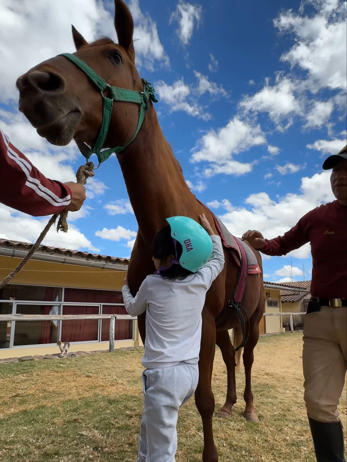 La equinoterapia y cómo los caballos ayudan a nuestros pequeños desde temprana edad. 🐴💫  La Región Policial Cusco de manera constante viene ofreciendo esto a nuestros niños los cuales les brinda muchos beneficios emocionales, físicos y cognitivos. #Equinoterapia #CaballosSaludables #NiñosFelices #naturaleza #niñosano #equino #pnp #policianacional #policianacionaldelperú #regionpolicialcusco #policiawayki #amor #empatia #solidaridad #equinos🐴