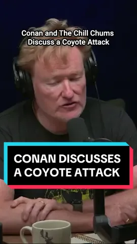 Would you fall for this trap? #CONAF #ChillChums #ConanOBrien #coyotes 