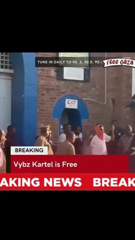 #vybzkartel #freevybzkartel #jamaica #jamaicantiktok #jamaicatiktok 