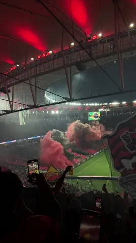 Noite de copa do brasil                         Flamengo 2 porco 0                         flamengooooo #fyp #copadobrasil @Flamengo @Fla Manguaça @Gabriel Barbosa 