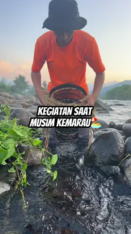 Musim kemarau sudah tiba, maka perangkap ini harus diterjunkan😁#cariikan #bolang 