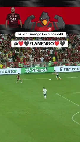 #CapCut os ant flamengo tão flamengo tão putos #nacaorubronegra #mengo #copadobrasil #futebol 