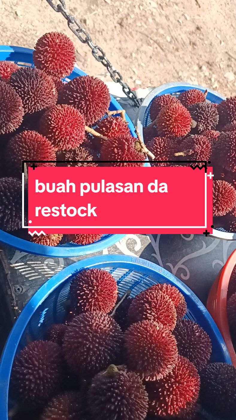 BUAH PULASAN MANIS.. #buahbuahan #binjai #pulasan #buah 