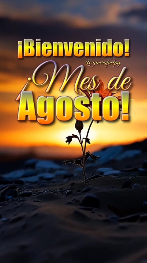 Bienvenido! Mes de Agosto! #frases #bonitas #parati #dios #fyp #bendiciones #felizdia #buenosdias #agosto 