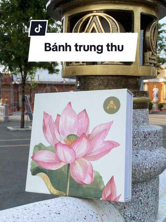 Bánh trung thu Quang Linh Food ( bánh trung thu health làm từ bột mì nguyên cám)#phamquanglinh #quanglinhvlog #quanglinhfood #banhtrungthu #nhatle #qanh88_ 