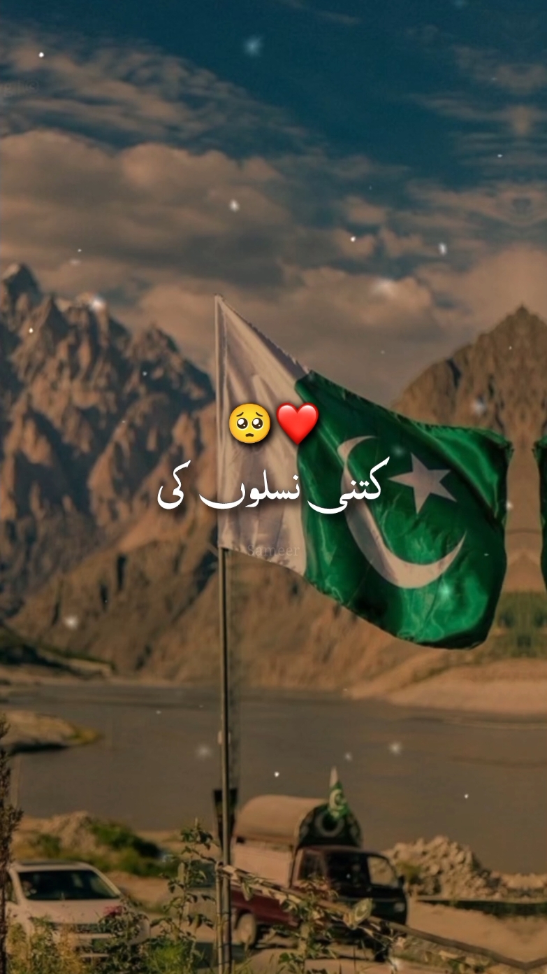 chand chmka to roshan sitara hu... 🌙🇵🇰🤍💚🥀 #foryou #foryoupage #pakistanzindabad #14august #statusvideo #statuslover #aesthetics  #viralvideo #1millionaudition #unfrezzmyaccount #sameerwrites295 @ACCOUNT FOR SALE❤ @𝕄𝕆𝕆ℕ >🐼❤️ 