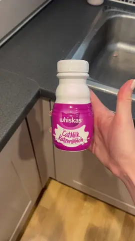 Lets make my cats a Catachino. #pets #PetsOfTikTok #cappuccino #catsoftiktok 