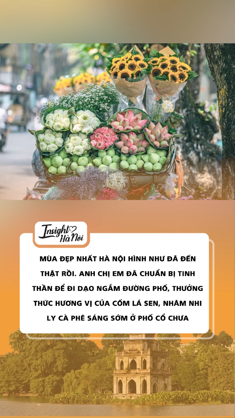 Tín đồ mùa thu đâu hết rồi #OrangeAgency #BietTheNetwork #insighthanoi #fyp 