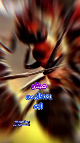 وقت الشدة تعرف الناس عزة النفس والكرامه كلام يخلي الشخص يعرف قيمتك قيمتي وكرامتي فوق الجميع لا تجعل احد يقلل من قيمتك قيمتك ليست في عيون الناس قيمتك عند الشخص تعرفها بالرد قيمتي فوق كل شي
