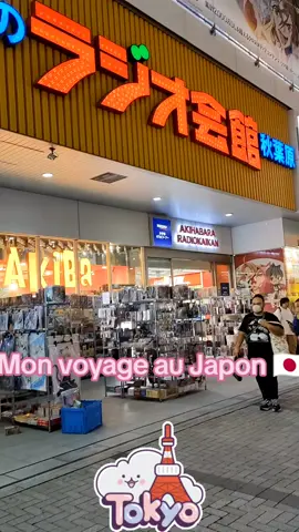 Mon voyage au JAPON 🇯🇵 #japan #japon #japantrip #tokyo #anime #pokemoncenter #pokemon #dragonball #pourtoi #foryou #japanesefood 