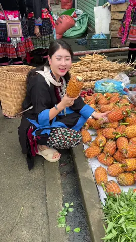 Loại dứa được người vùng cao trồng có 5k/ quả thì có rẻ quá k ạ#phienchovungcao #dacsanvungcao_taybac #thaoduocthiennhien #duoclieutaybac #laligachampion #dulichtaybac 