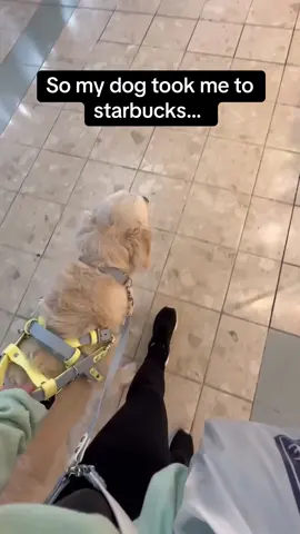 My dog knows me 😭 #Pubity (service.sunshine via Collab)