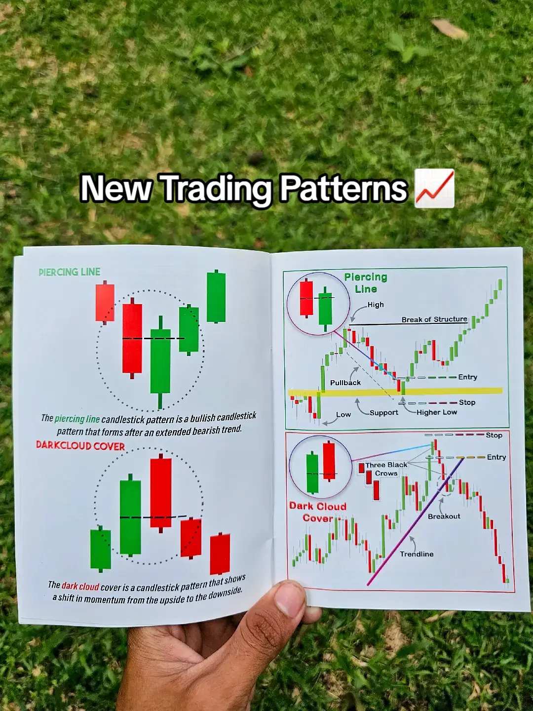 the latest trading book will make you an experienced trader based on the information crafted from expert will they tech you have to master the technical analysis on forex, crypto and stocks 📚📈 #fyp #trading #tradingbook #book #technicalanalysis #BookTok #forex 