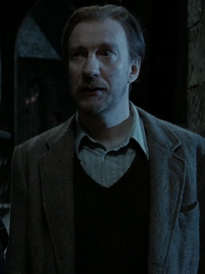 Remus Lupin è sempre stato un uomo saggio ❤️ #harrypottertok#scenefilm#remuslupin#successo#citazioni