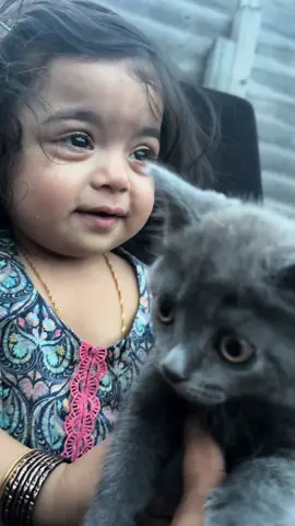 Meet Zoya’s kitten Smokey #zoya #zoyaarchive #zoyathedestroya #babyoftiktok #babiesoftiktok #cute #baby 