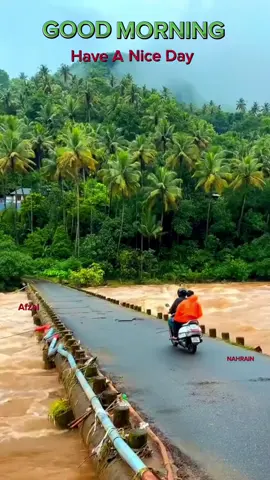 🫐കനവിലെ ചിരിയിലും  🫐യാഥാർത്ഥ്യങ്ങളിലെ കനലിലും  🫐ഓർമ്മകൾ ഓടിയെത്തിയുണർത്തിടുമ്പോൾ  🫐ഒരു ചെറുതുരുത്തു പോലെ  🫐തെളിയുന്നുണ്ട് നിൻ മുഖം..... 😘 🫐എന്റെ ജീവിതത്തിന്റെ അണയാത്ത തിരിനാളമായെന്നും !!!😘 നിനക്കായി സ്നേഹപൂർവ്വം ശുഭദിനം🌹🌹🌹#tamilsong #kannanakanne #goodmorning #morningvibes #صبح_الخير😍😍💙 #nahrain #പ്രണയംനിന്നോട്മാത്രം🕊️🕊️❤❤ #morningvibes #rain #kerala 