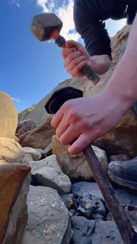 Here is a stunning example of a Yorkshire Dactylioceras Ammonite that we found on the beach in a huge loose shale slab 🦑 The surrounding stone is easily broken away to reveal the specimen within. This ancient creature would have swam the seas around 180 Million Years ago 💀🐊 #natural #nature #fossil #fossils #ancient #animals #art #ammonite #ammonites #dinosaur #scientist  #minerals #paleontology #whitby #geologist #dorset #geology #charmouth #jurassic #yorkshire #beach #coast #sea #water #squid #fyp 