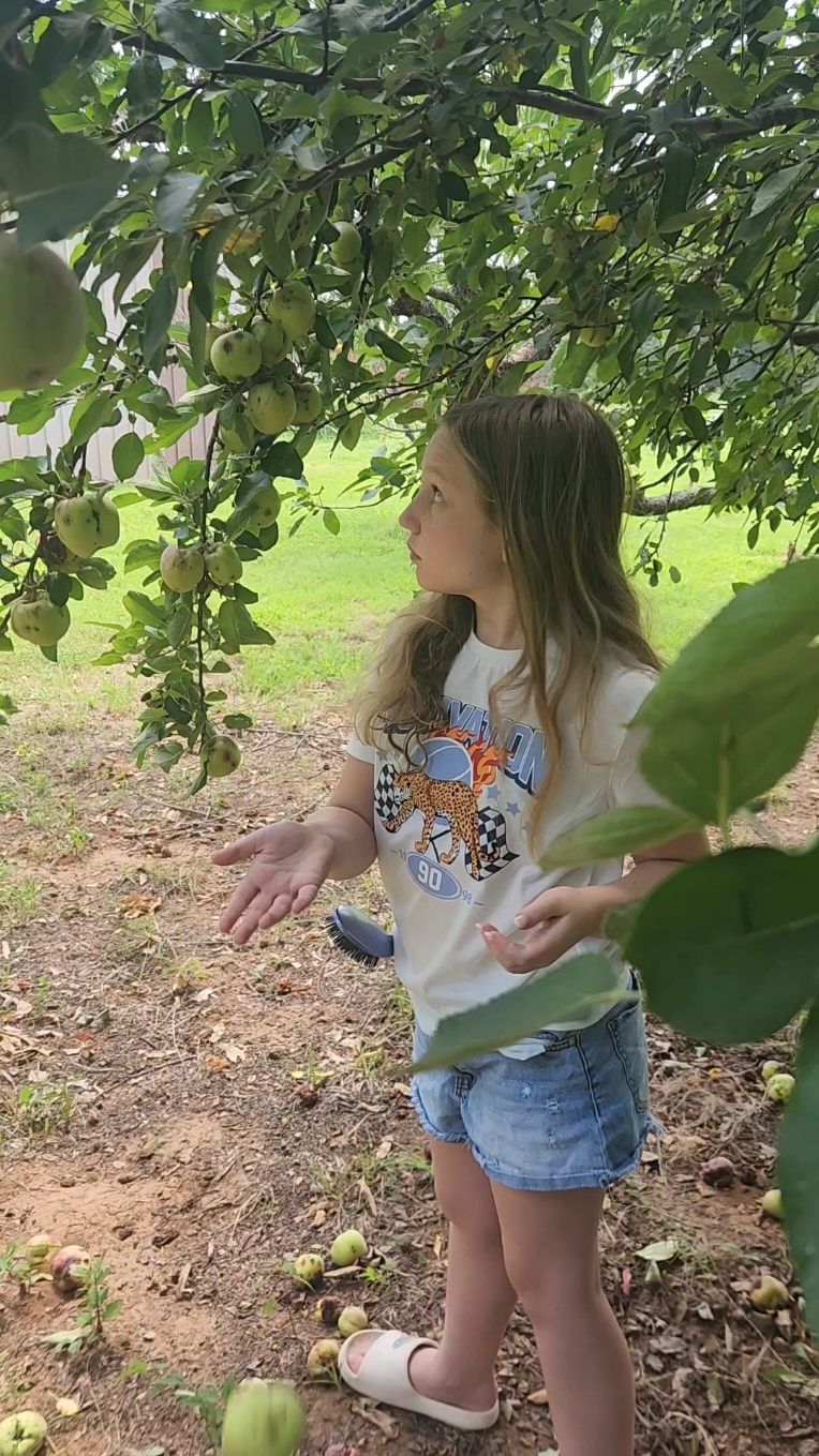 picking apples with the family #apples #applepicking #farm #animals #oklahoma 