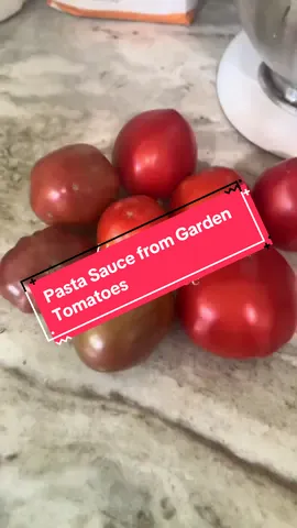 My garden has given us so many delicious tomatoes! I saw @Grace Walk Farm roast her tomatoes before canning them and I decided to do that for pasta sauce. It makes all the difference!  #tomatoes #recipes #pasta #dinner #italianfood #tomato 