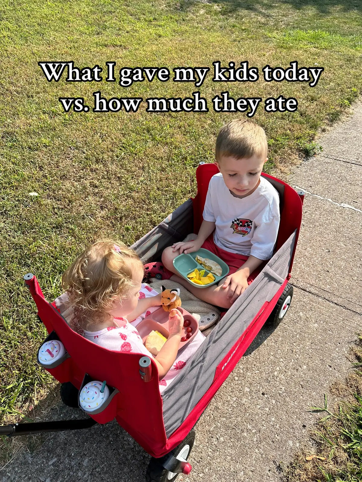 Everything i gave them and how much they ate today #whatmytoddlereats #whatmykidseat  #MomsofTikTok #momcontent #breakfast #dinner 