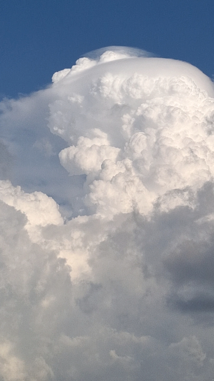 Bonita nube  #nubes #nubesdealgodon  #viralvideo #paratiiiiiiiiiiiiiiiiiiiiiiiiiiiiiii #nubelinda #cielo #samsuna54  #viraltiktok 