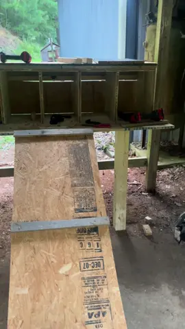 Part 2 of building the chicken coop without spending a ton of money. Majority of this stuff we have laying around and finally putting it to use. Finally was able to use all my powertools again. #chickenmom #chickencoop #homesteadjourney #smalllifeliving #CapCut 