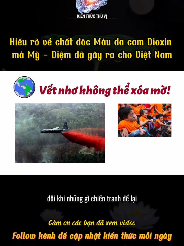 Hiểu rõ về chất đôc Màu da cam Dioxin mà Mỹ - Diệm đã gây ra cho Việt Nam#kienthucthuvi #dioxin #chatdocmaudacam #mỹ