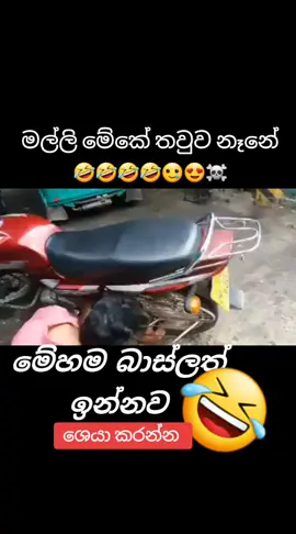 ශෙයා එකක් 🥰🤣 ඔන්න බාස්ල 😍🥲🤣🤣🤣 #foryoupage #tiktokvlog #tiktok #trending 