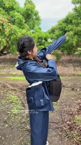 ชุุดกันฝนเสื้อกางเกงผ้าหนา คุ้มมาก ✨🌧️  @น้ำตาลมารี 🤍  @น้ำตาลมารี 🤍  @น้ำตาลมารี 🤍 #ชุดกันฝน #ชุดกันฝนผู้ใหญ่ #ชุดกันฝนแบบหนา #ชุดกันฝนเสื้อกางเกงมีหมวก #ชุดกันฝนแบบใหม่🤩🤩 #ฝนตก #หน้าฝน 