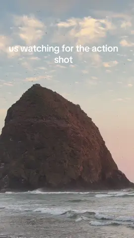 the content is waiting !!!