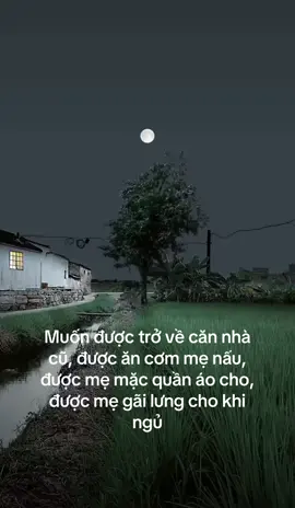 #🍃annhiên🍃 #ngayxua #langque #quehuong #nhongayxuaay #hoainiem #binhyen #tuoitho #tuoithotoi 