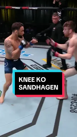 Knee KO dari Cory Sandhagen! Sinyal bahaya untuk lawannya, Umar Nurmagomedov! #UFC #MMA #Corysandhagen #UmarNurmagomedov #UFCAbuDhabi