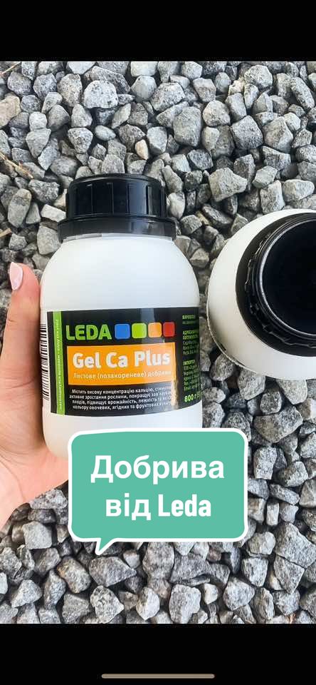 Хто користувався, які ваші враження? Хто ще ні, то варто спробувати👌🏻@Leda  #фермер #агробізнес #україна #сільськегосподарство #агробізнесукраїна #тепличнийбізнес #теплиці #гідропоніка #фермерськегосподарство #малийбізнес #бізнеснаполуниці #полуниця #вирощуюполуницю #розсадаполуниці #розсада #полуницярозсада #касетнарозсада 