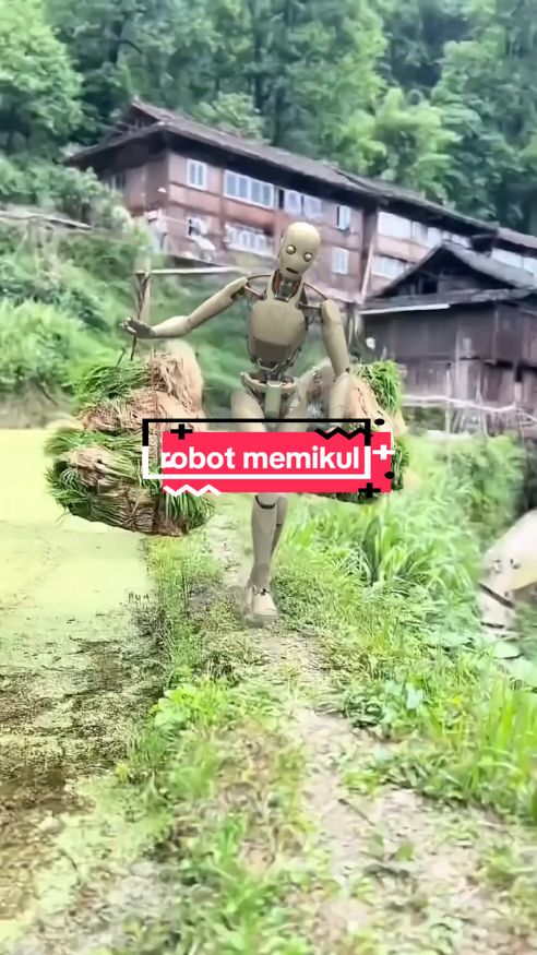 Pemandangan robot menanam bibit padi membuat saya teringat pada gadis dikampung halaman saya #robot #canggih #teknologi #fypシ゚viral #pedesaancina 