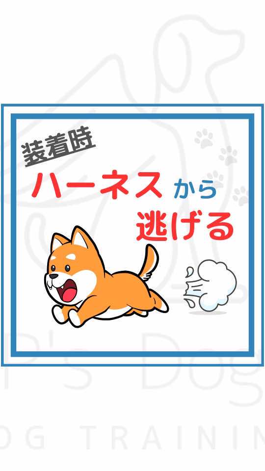 【ハーネスから逃げる💨】 ⬇️しつけのポイント⬇️ ◎ハーネス自体が怖いのかも？ →ハーネス(物体)自体に慣らすことからはじめる。 ◎装着時にハーネス自体を近づけない。 →後退りなど、下がることで回避できることを覚えてしまう。 ハーネスを見るだけで逃げてしまうようになったりします💦 ※ハーネス片手に追いかけっこも❌ →遊びになってしまい、楽しんでいるケースもよくあります🙀 ◎ハーネスは動かさない →自らくぐらせるようにする👌 上からハーネスが来ると怖がる子もいるので、下からの方が抵抗なくできるように💡 顔がくぐれたら、ハーネスを動かして装着👍🏼 少しでも出来たら、たくさん褒めてあげてください🙆 きっとハーネスを見ただけで顔を通したい！となっているはずです😉✨ 今後も、少しでも飼い主さんのお役に立てる情報を発信していけたらと考えています。 この投稿が役に立った！という方は「いいね」「コメント」「フォロー」してくださると嬉しいです☺️ #犬のしつけ #子犬のしつけ #犬のいる暮らし #犬の豆知識 #ポジティブトレーニング 