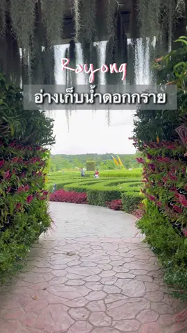 อ่างเก็บน้ำดอกกราย  📍จ.ระยอง #TikTokกินเที่ยว #ระยอง #rayong #อ่างเก็บน้ำดอกกราย #ที่เที่ยวระยอง #ปลวกแดง #ธรรมชาติบําบัด 