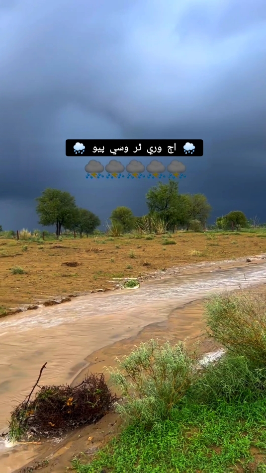 🌧️⛈️#desert #Barish #Thar #Tharparkar02 #sindhwale #shahab_thari02 #foryou #shahab_thar🙏🏿 