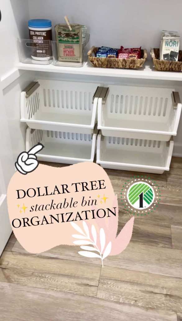 Dollar Tree ✨HOME✨ organization ideas!  👉🏻 Which idea was your favorite?!  🤩📸👇🏻 SHOPPING list: 🛒 Dollar Tree Index Card Holder  🛒 Dollar Tree Lid Locking Containers 🛒 Dollar Tree Stackable Locking Bins 🛒 Dollar Tree Magnetic Locker Box 🛒 Dollar Tree Car Hooks #DIY #organization #organizationideas #dollartree #hack #homehacks #Home #homedesign #diyproject #tutorial #hacks #budgethomedecor #Lifestyle #decorhacks #lookforless #affordablehomedecor #homedecor #decor #creatorsearchinsights @Dollar Tree 