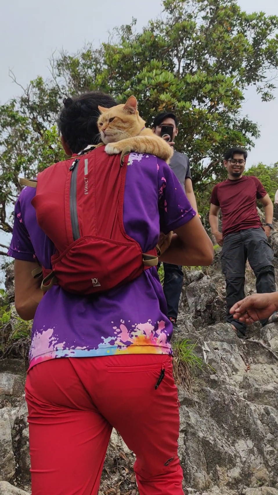 Oyen Silipat select... thanks Silipat Crew dapat bawa Oyen ke puncak Silipat. #luffyadventures #merendanghikers #gunungsilipat #betong #thailand #oyensilipat #fyp 