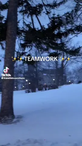 TEAMWORK ✨#fyp #foryou #foryoupage #teamwork #payoffdebt #debtfree #roadto10k 