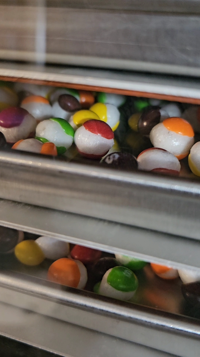 Freeze-drying skittles in real time #freezedrying #candy 