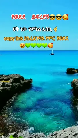 የወደደ_ይፍረደኝ 🥰 #ሸኽ_በድሩ #ጣፋጭ_ቂሷ #ከተመቻችሁ_follow_like_share_ሳታደርጉ_እንዳታልፉ #vairal #fypシ゚viral 