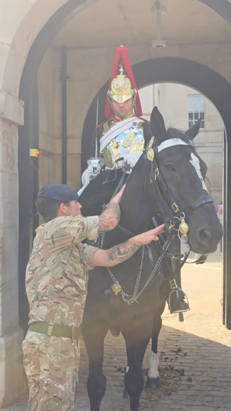 #horse #ormnde #horse #tourist #fyp #london #householdcavalry #horsesoftiktok 