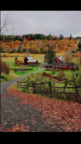 Is it fall yet? #halloween #fall #newengland #autamn #fypage 